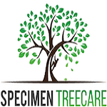 Specimen Treecare